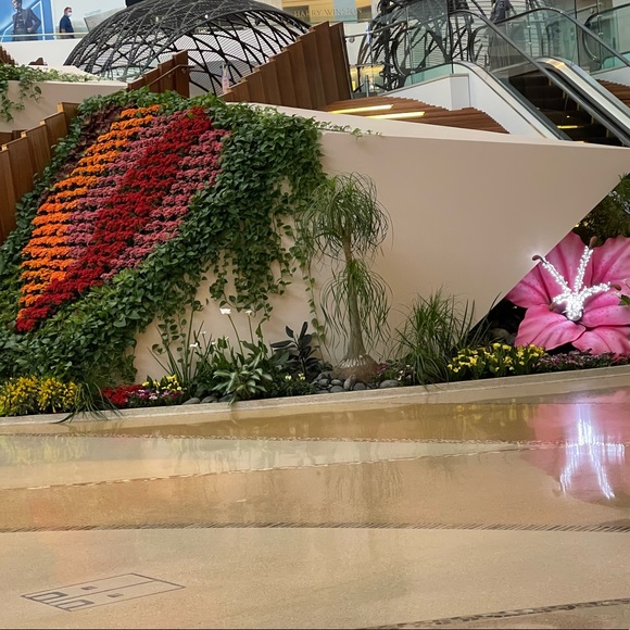 Meet your Posher, Carrie - Picture 1 of 1